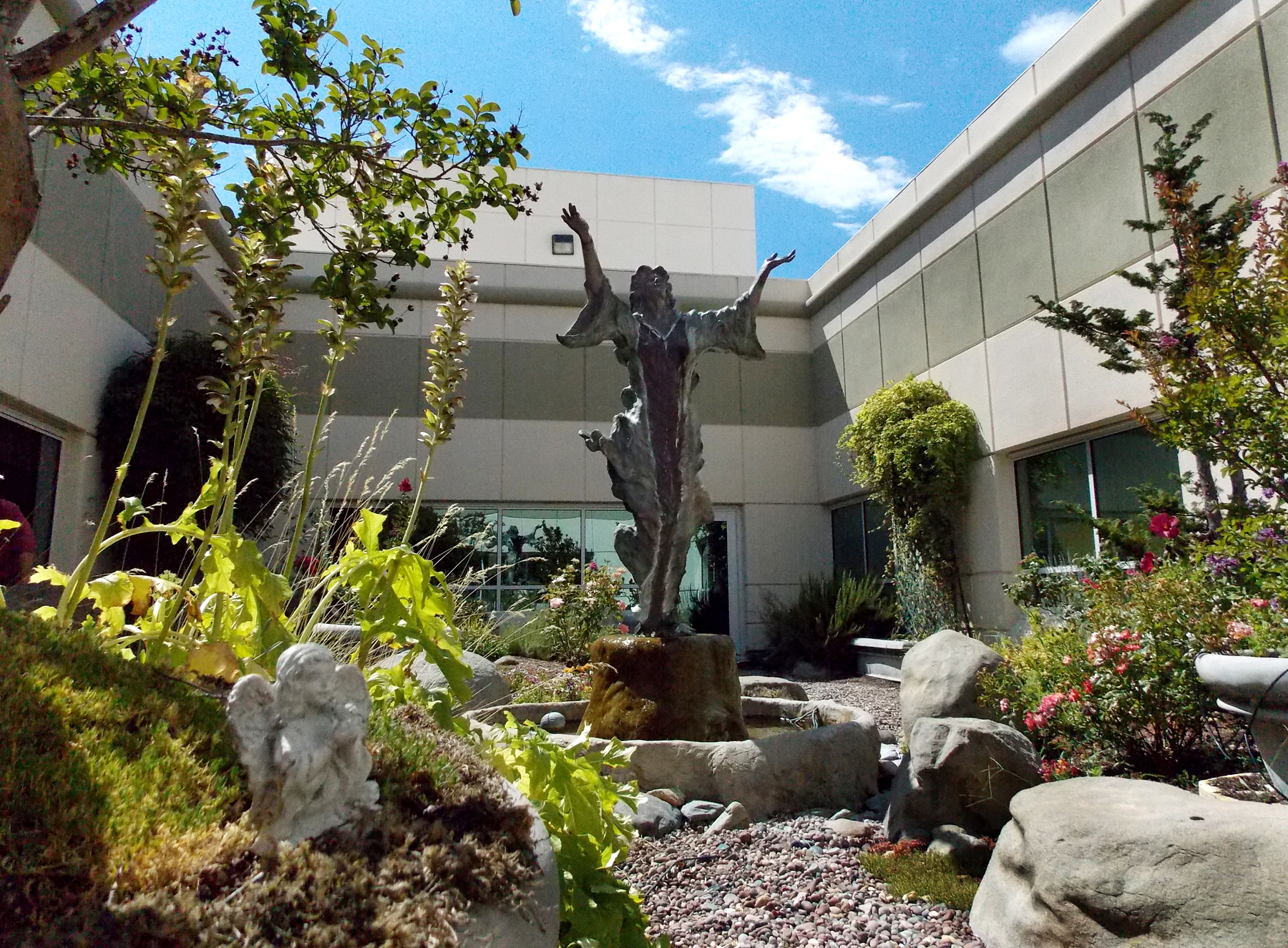 Rooftop garden gives comfort to hospital patients