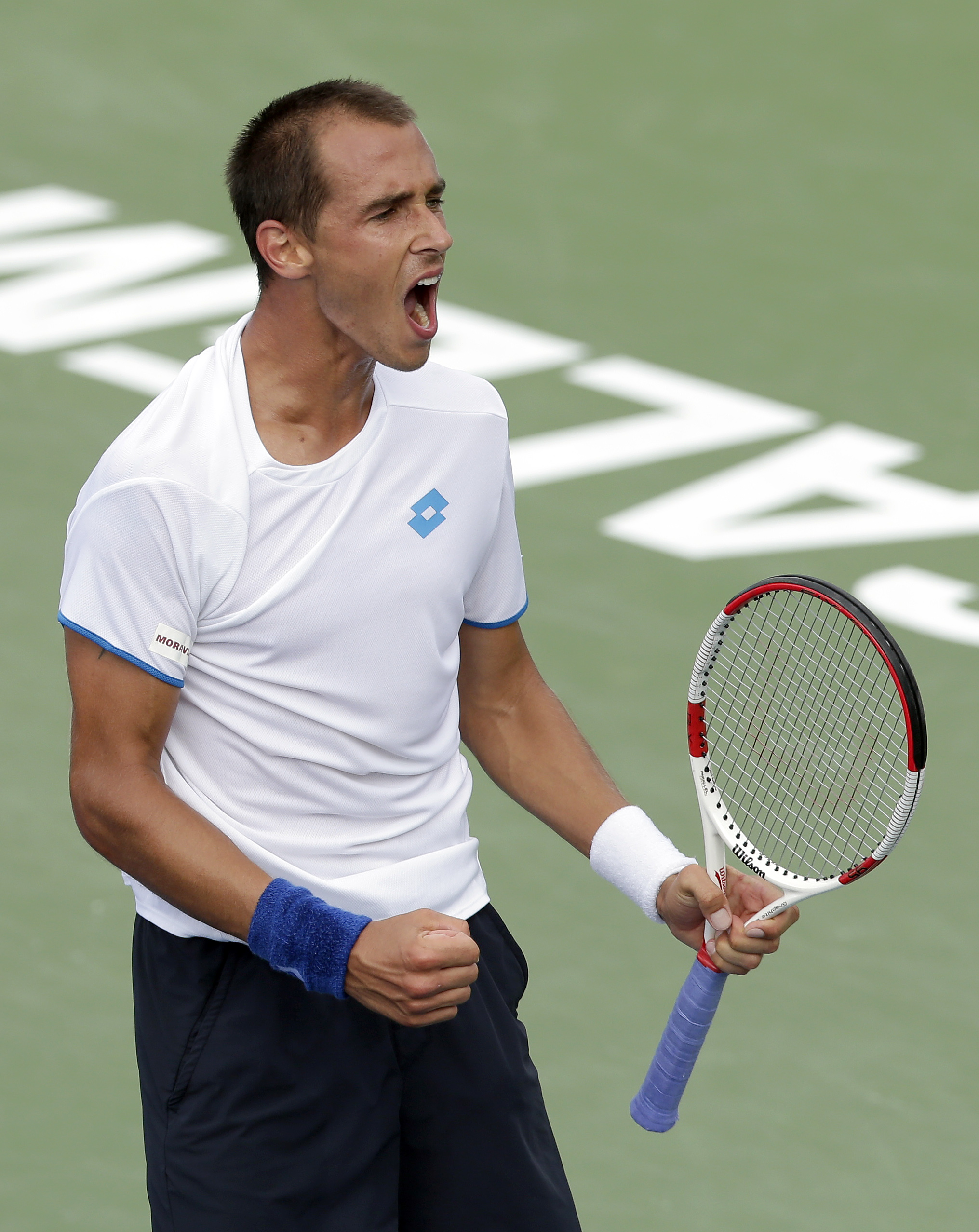 Rosol of Czech Republic wins Winston-Salem Open