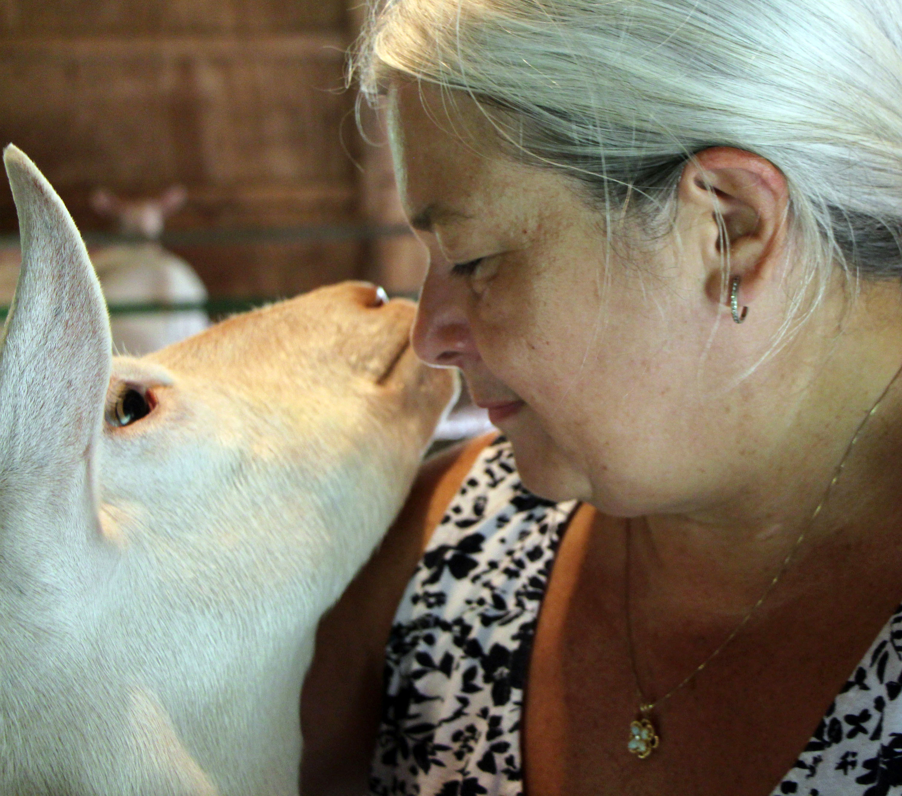W.Va. goat's milk used for soaps