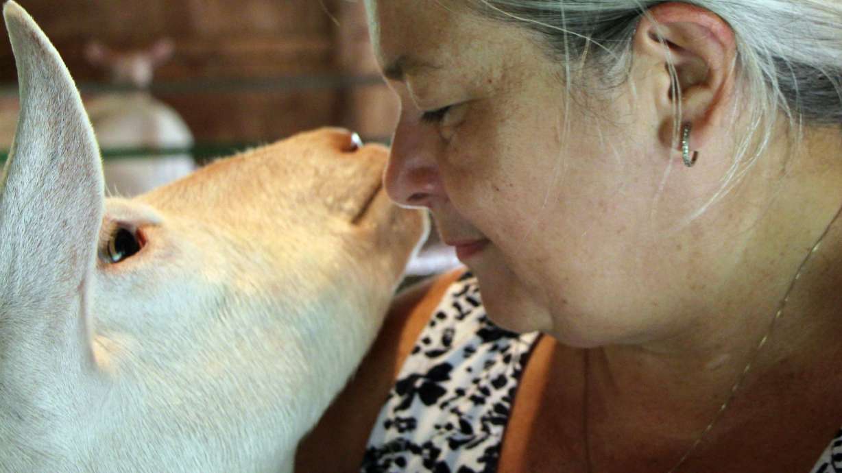 W.Va. goat's milk used for soaps