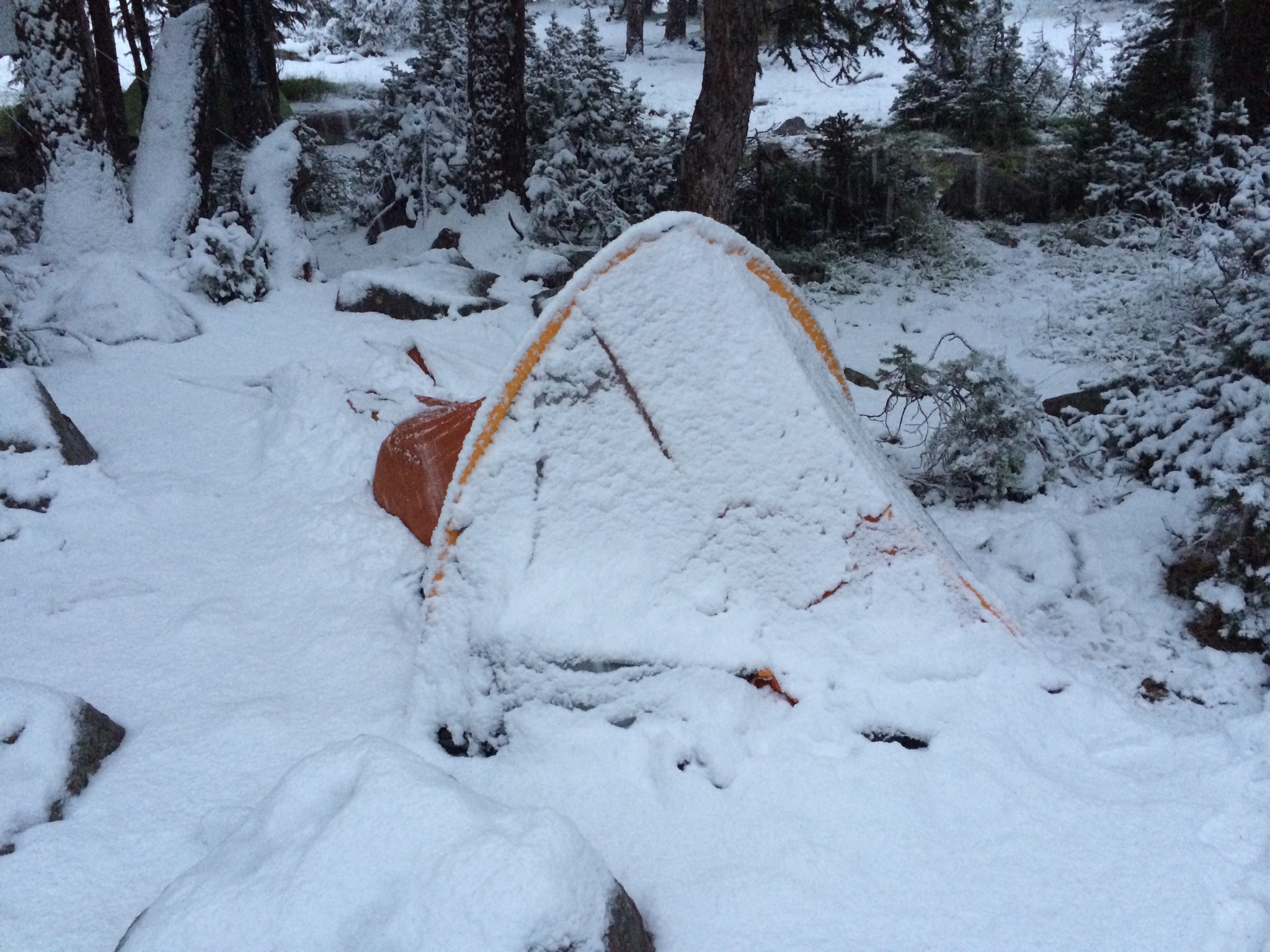 User photos: This week in news