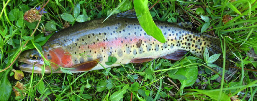 5 Fall destinations for fishing and outdoor recreation