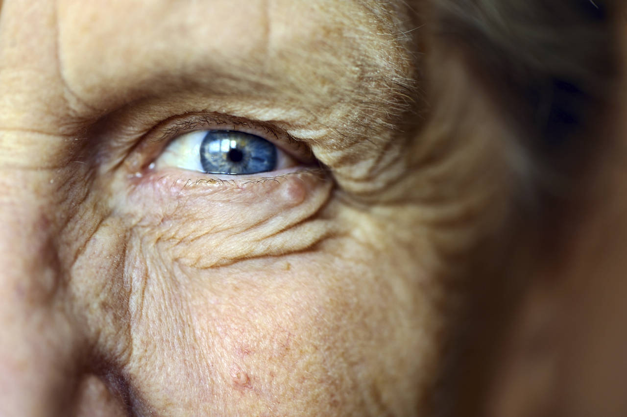 Por qué los ojos son el secreto para prolongar la vida