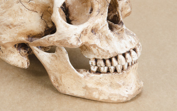 Human skull donated to Goodwill store in Texas