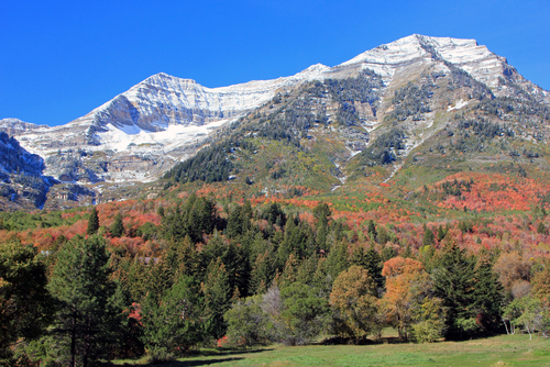 Sundance resort to build 2-mile zip line tour