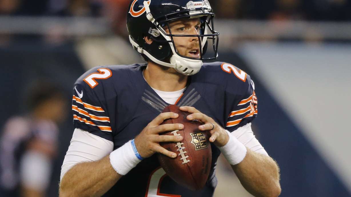 QB Palmer, P Moorman among 10 players cut by Bills