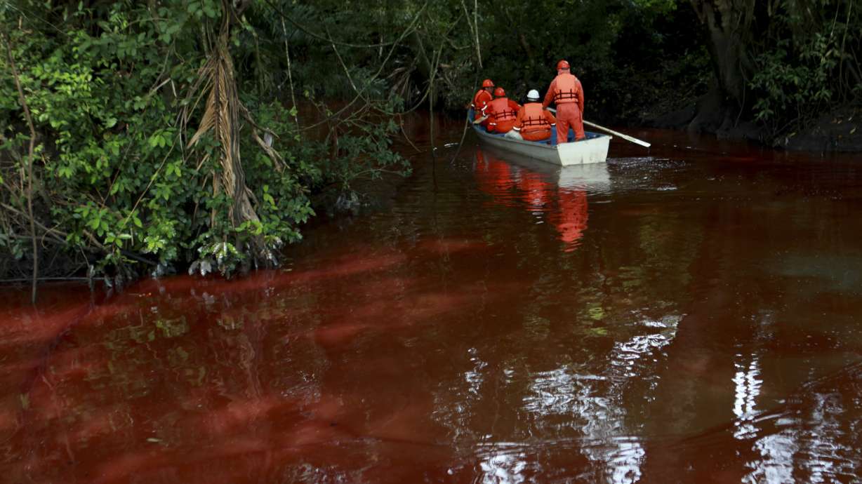 Mexico sees massive fish die-off at lake