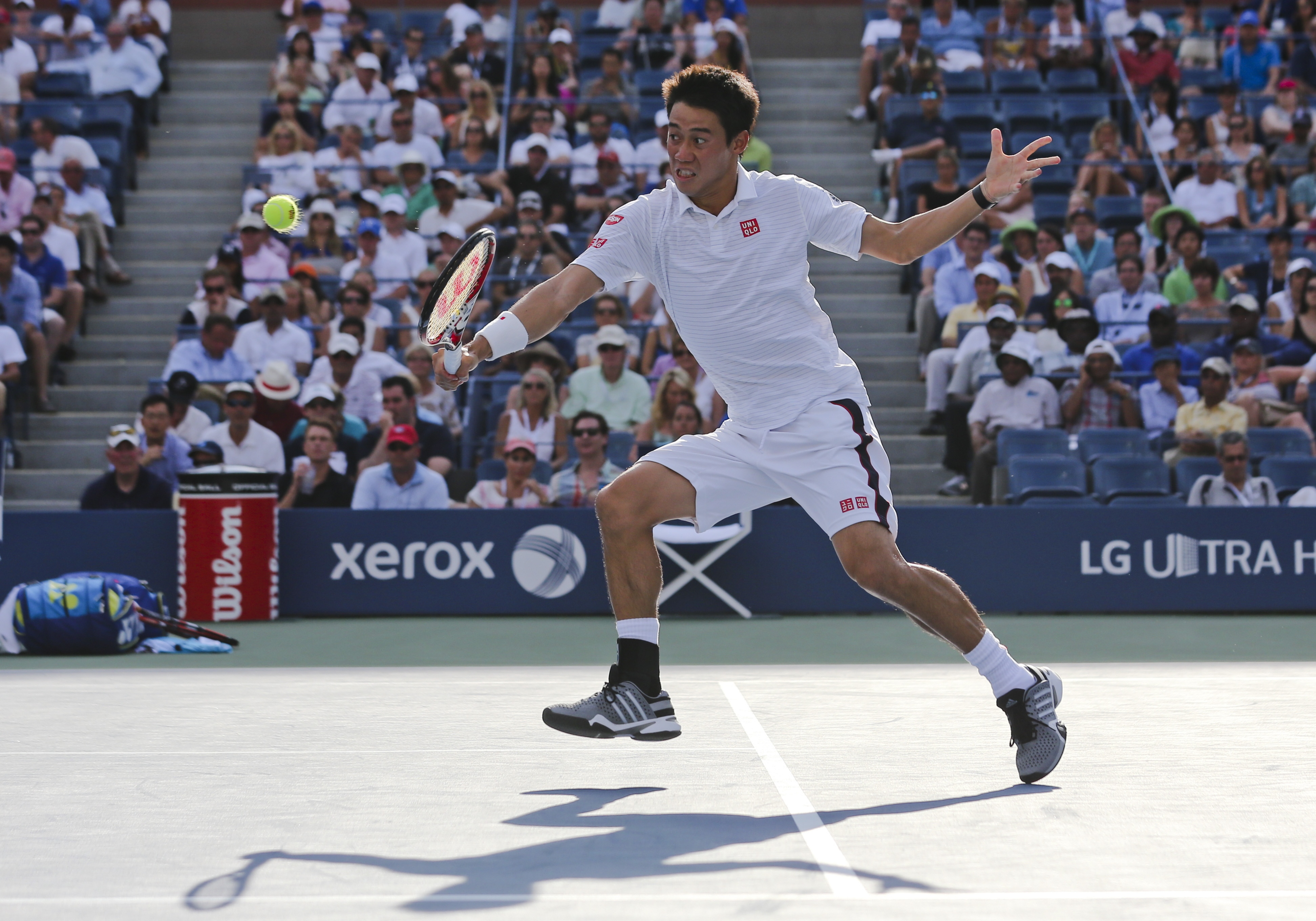 Japanese fans celebrate Nishikori's US Open win
