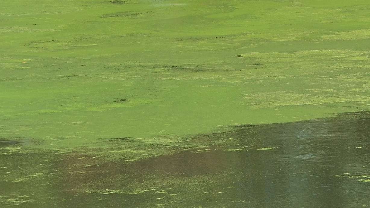 Muscatine students get wet in boat-building effort