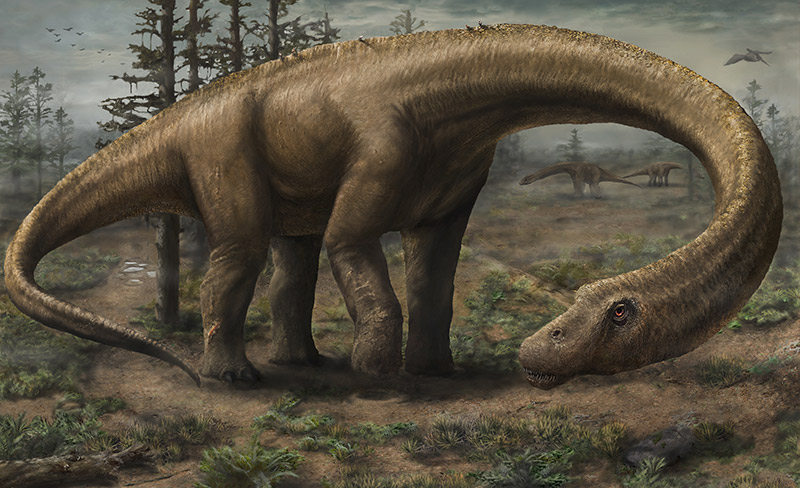 ‘Battleship’ dinosaur weighed as much as 12 elephants
