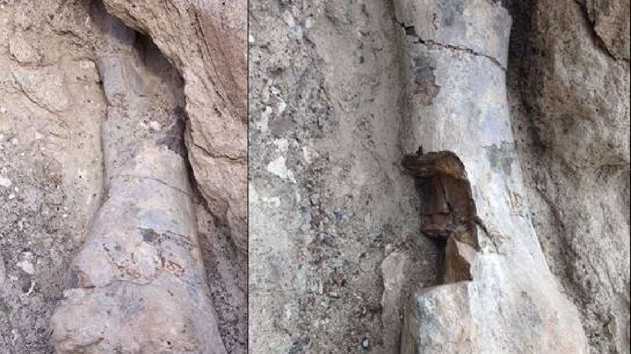 Fossil damaged in Dinosaur National Monument