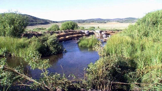 Strawberry River going red as salmon make run