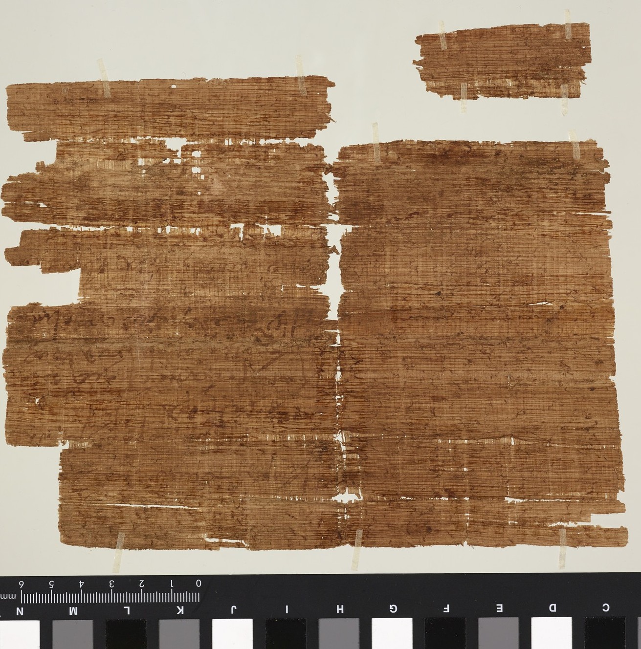 The back of the parchment shows faint writing.