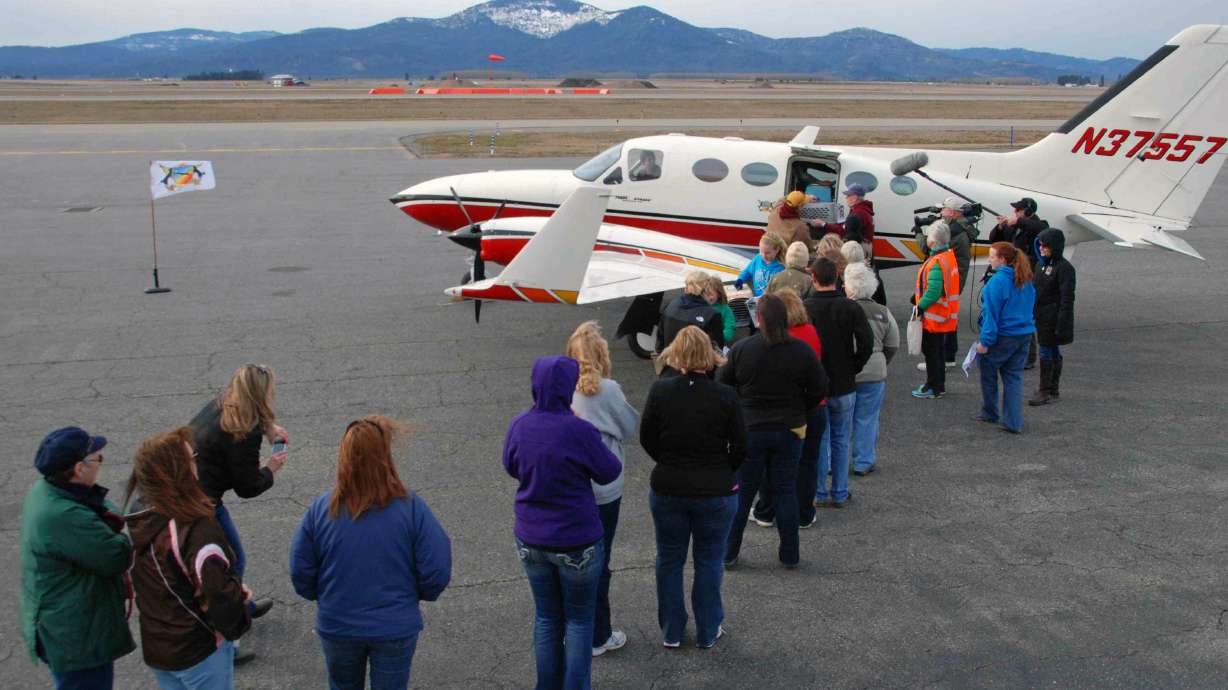 PBS' 'Shelter Me' puts at-risk pets in limelight