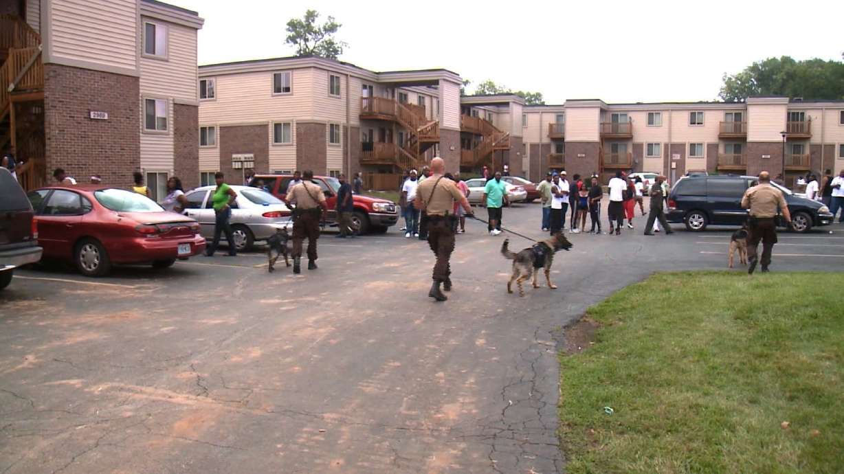 New Michael Brown shooting witnesses describe scene