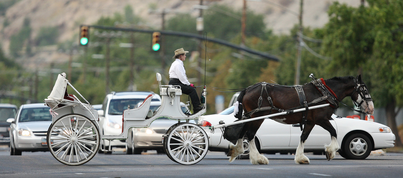 SLC carriage company closes doors, rides may not return 