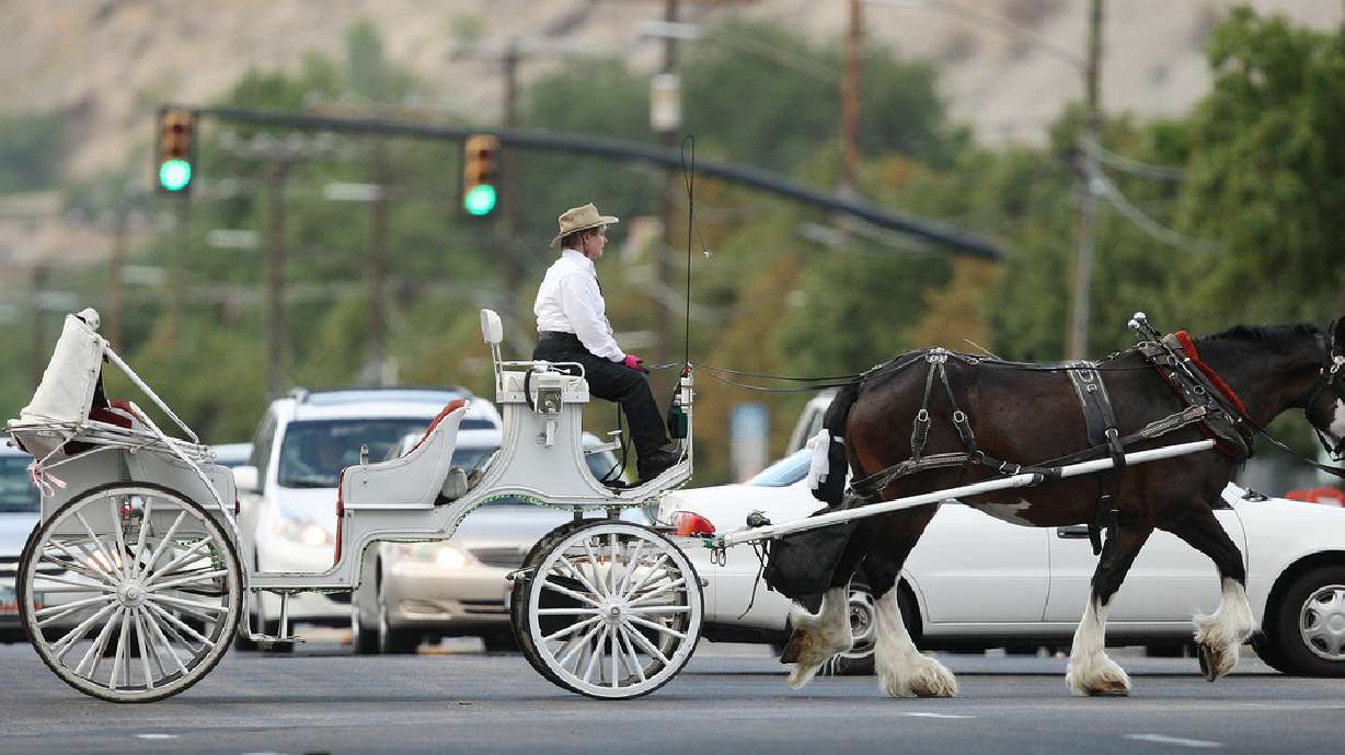SLC carriage company closes doors, rides may not return