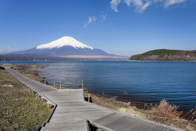 Better known by its unofficial name, Mount Fuji, this solitary stratovolcano has appeared in thousands of poems, paintings and photographs. It's this contribution to the arts that has given Fujisan a place on the World Heritage list. On the upper 1,500-metre tier of the 3,776 meter-high mountain, pilgrimage routes and crater shrines have been inscribed alongside sites around the base of the mountain including Sengen-jinja shrines, Oshi lodging houses and natural volcanic features such as lava tree molds, lakes, springs and waterfalls, which are revered as sacred. (, Imaki Hidekazu)