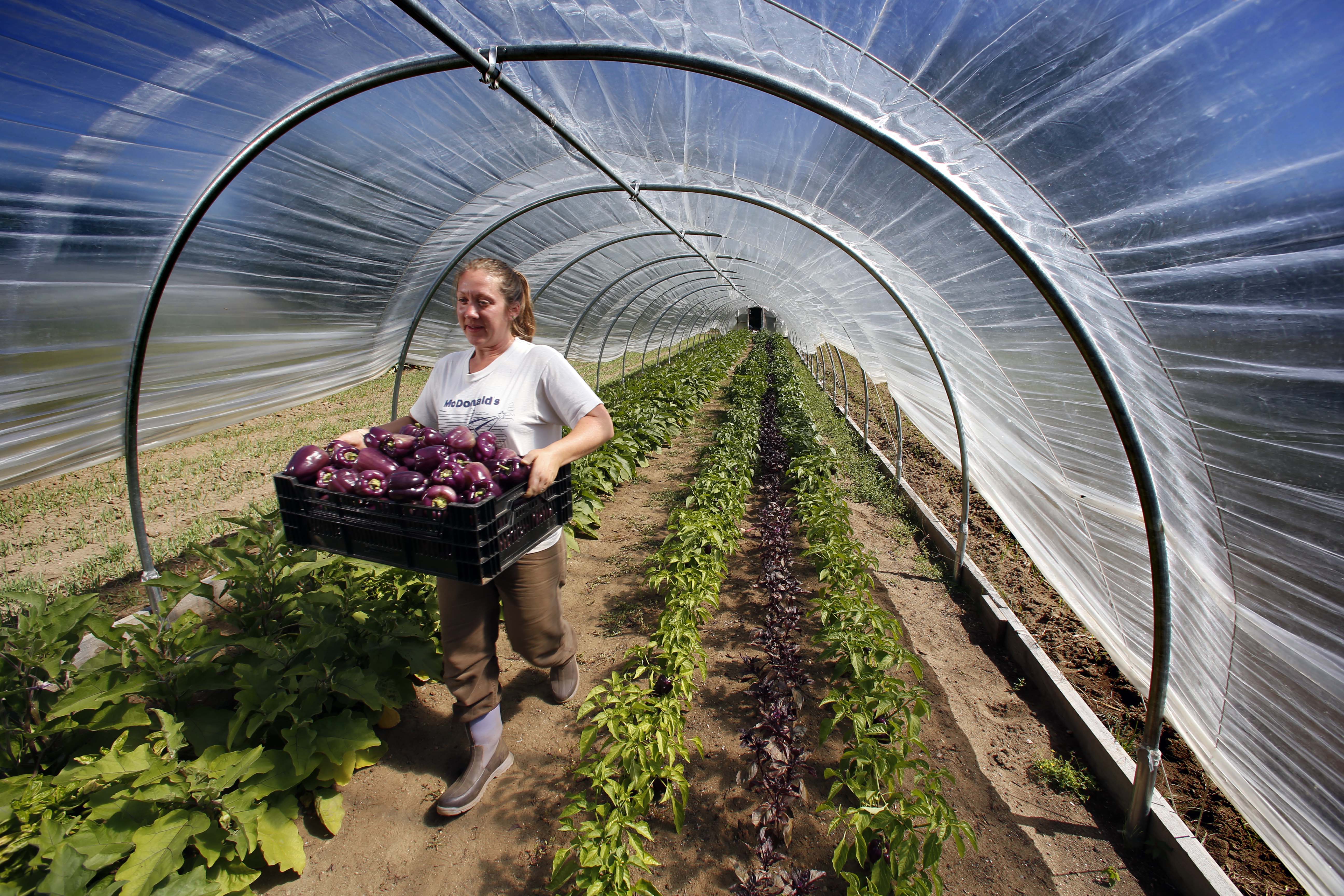 Slow Money invests in small food enterprises