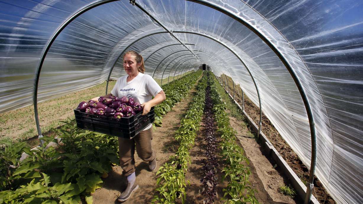 Slow Money invests in small food enterprises