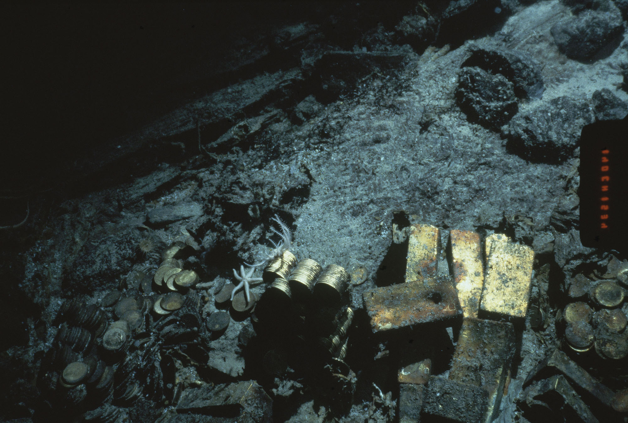 Feds chase treasure hunter turned fugitive