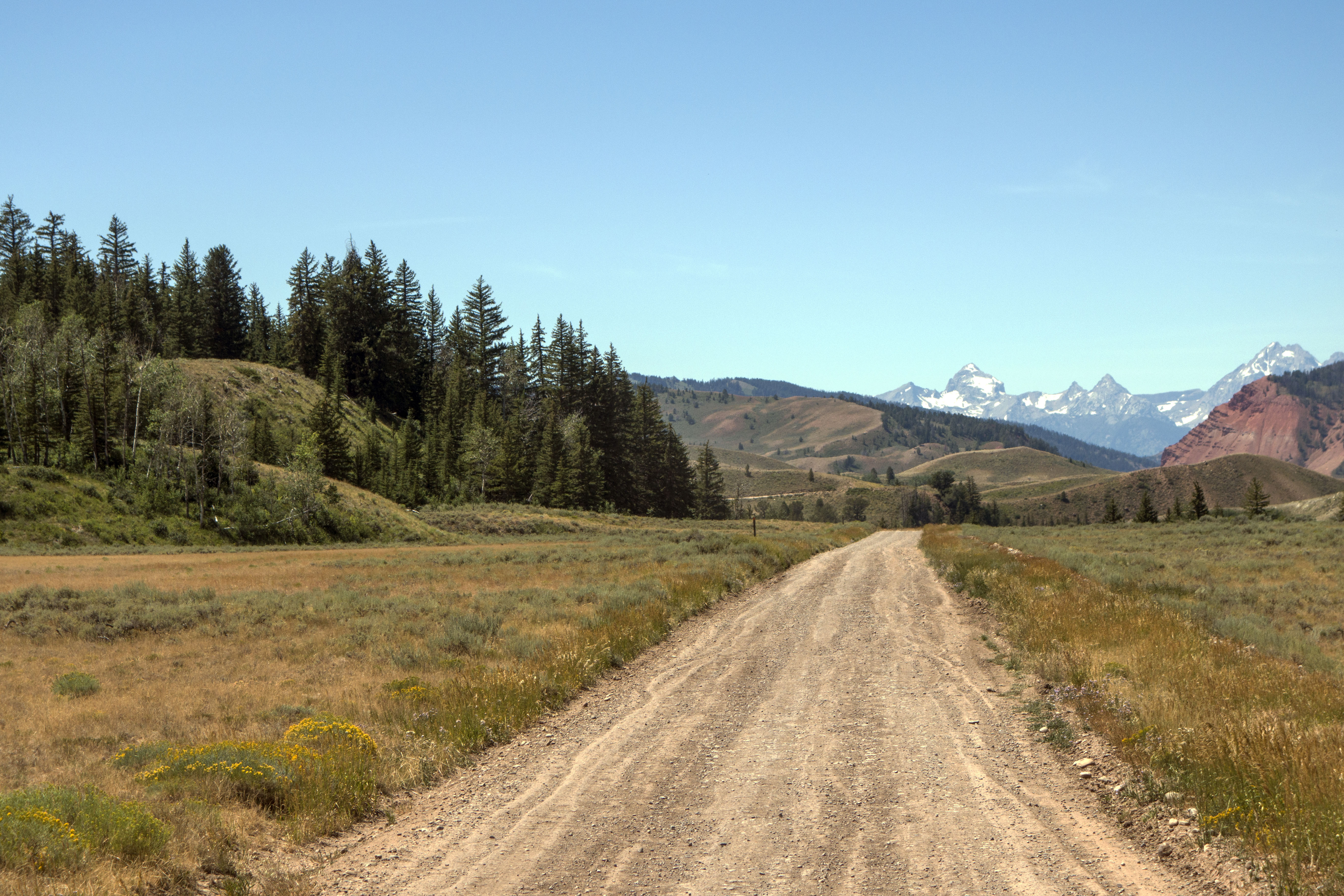 4 bears present in area where Utah man mauled