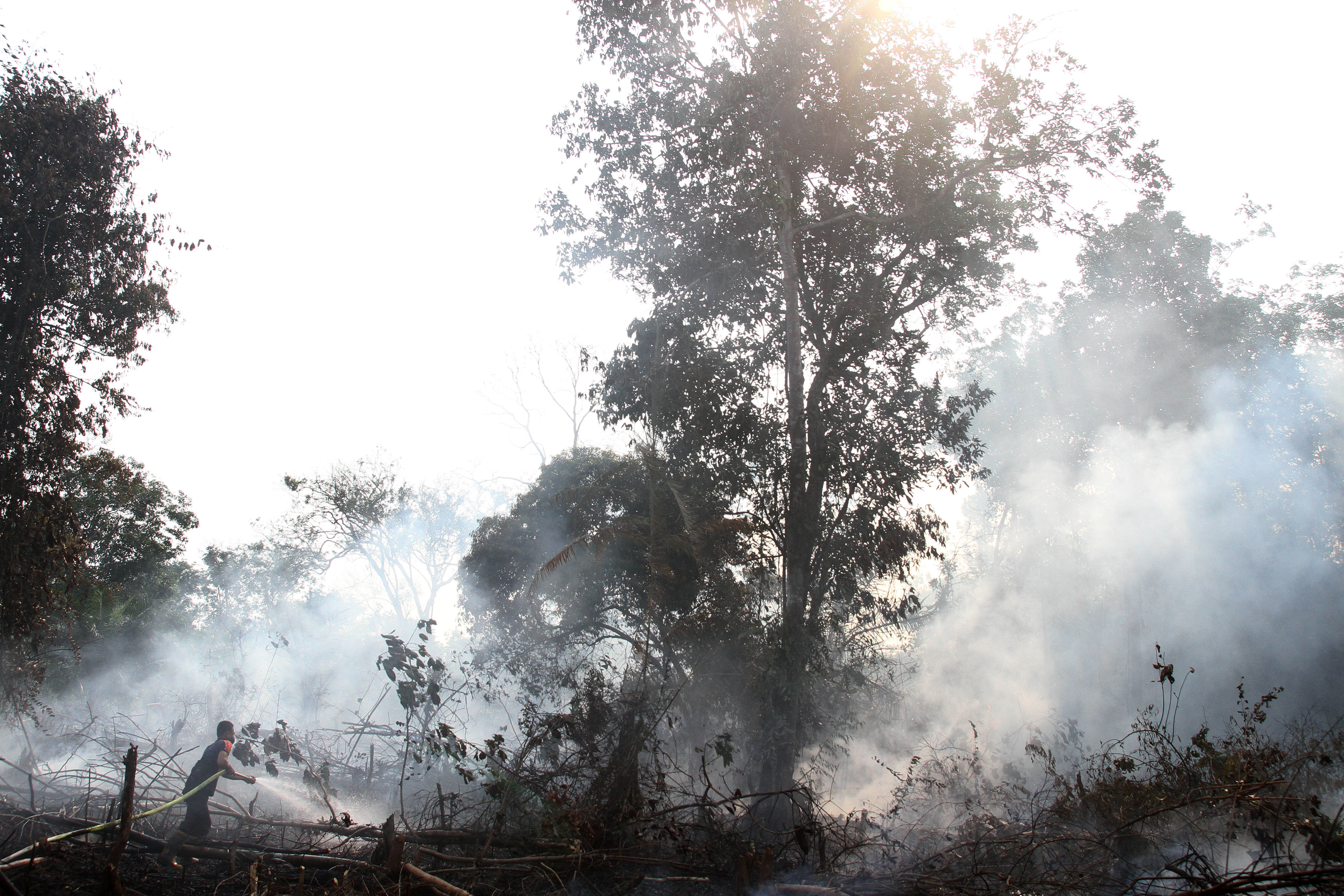 Indonesia adds more copters to fight forest fires