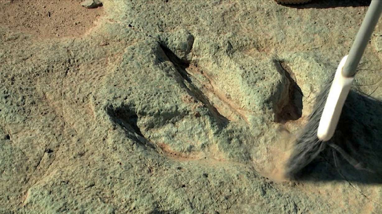 BLM removing 2 dinosaur tracks in Moab