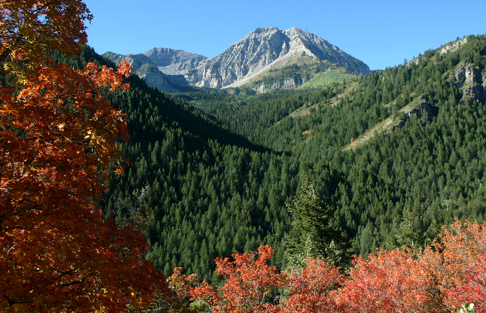 5 cosas para hacer en Utah durante el otoño
