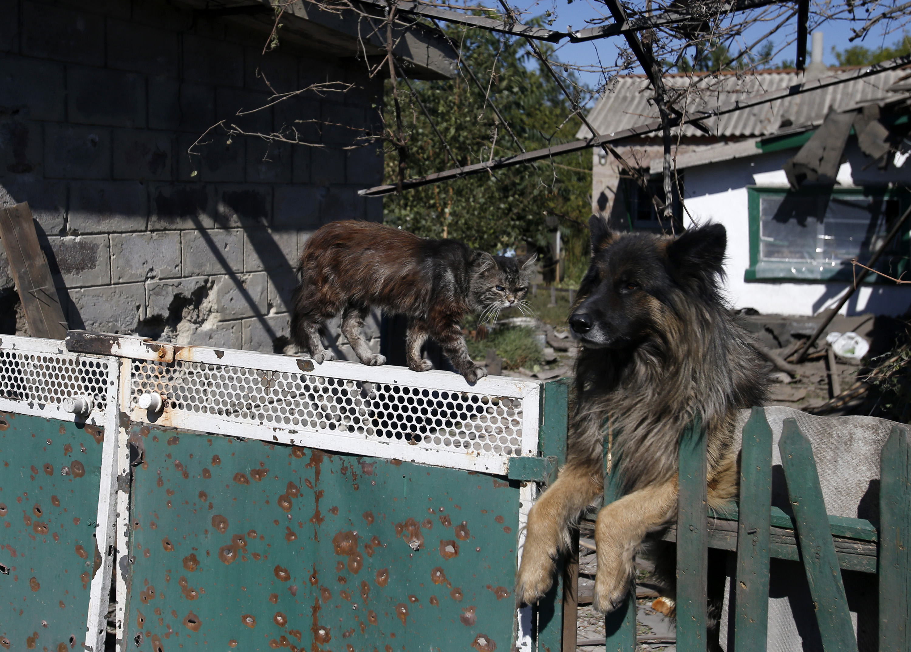 Buffer zone agreed upon in Ukrainian peace talks