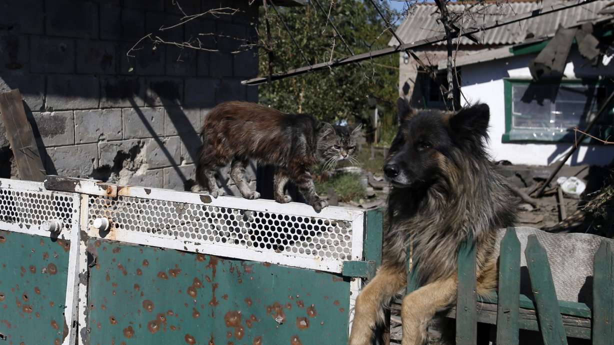 Buffer zone agreed upon in Ukrainian peace talks