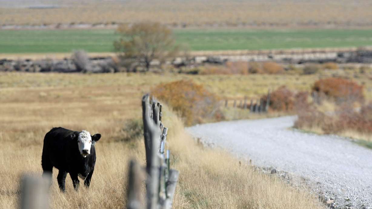 More drought forecast next year across West