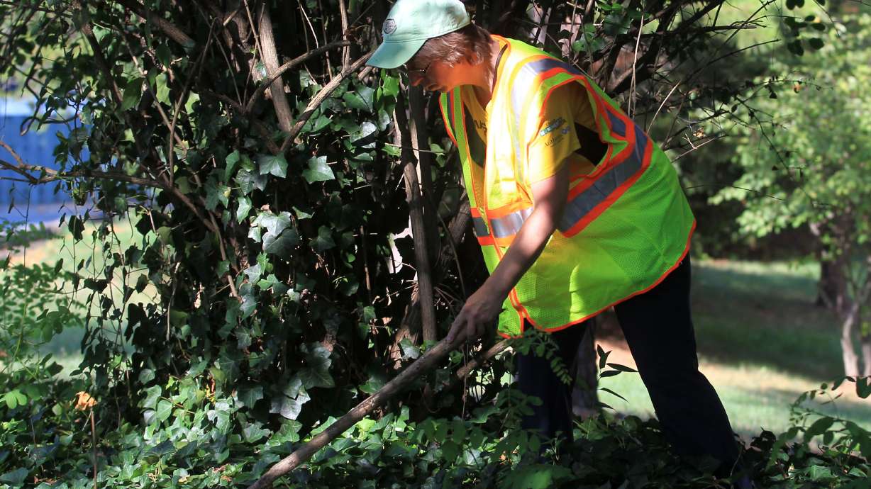 Focus on UVa employee in student's disappearance