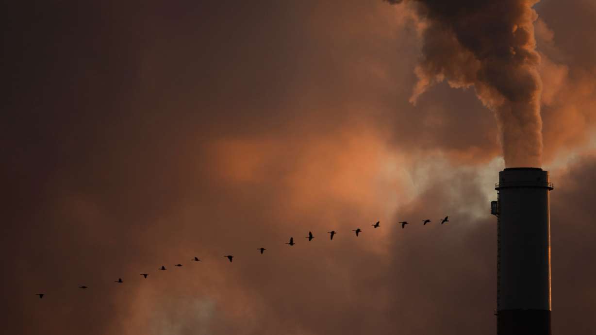 Businesses and investors pressing for green policy