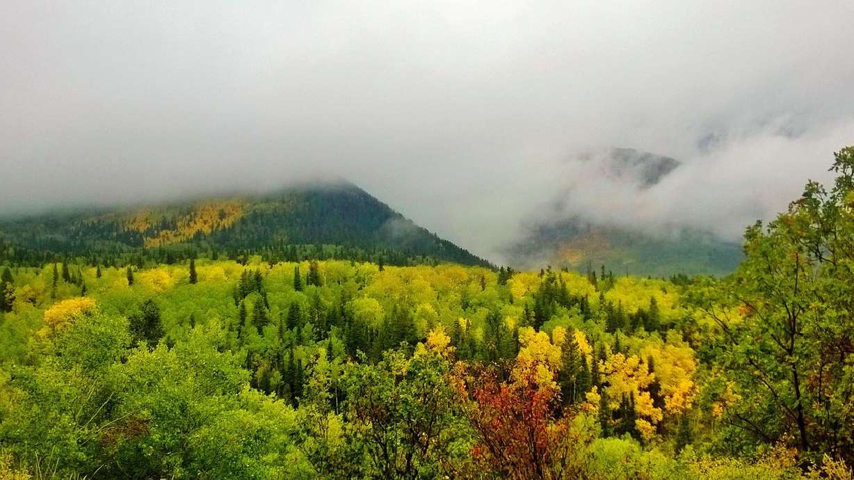 5 great places to view the fall colors in Utah