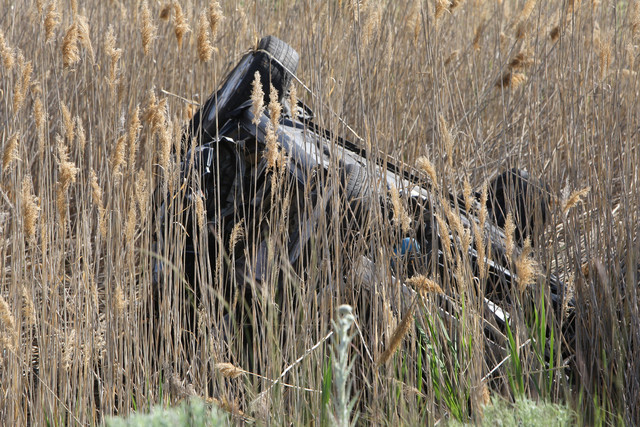 Automobile homicide charges filed in crash that killed 3