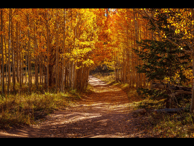 5 Lugares asombrosos para ver los colores del otoño en Utah