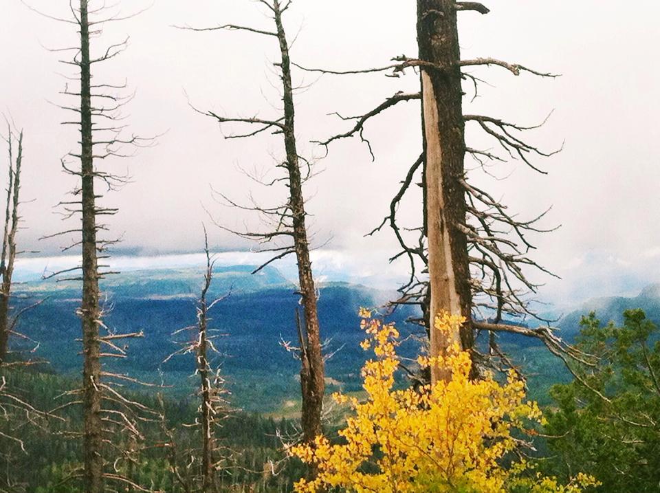5 Lugares asombrosos para ver los colores del otoño en Utah