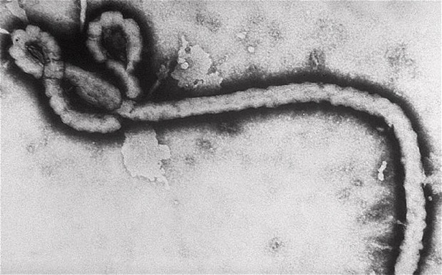 Is the US ready for Ebola on American soil?