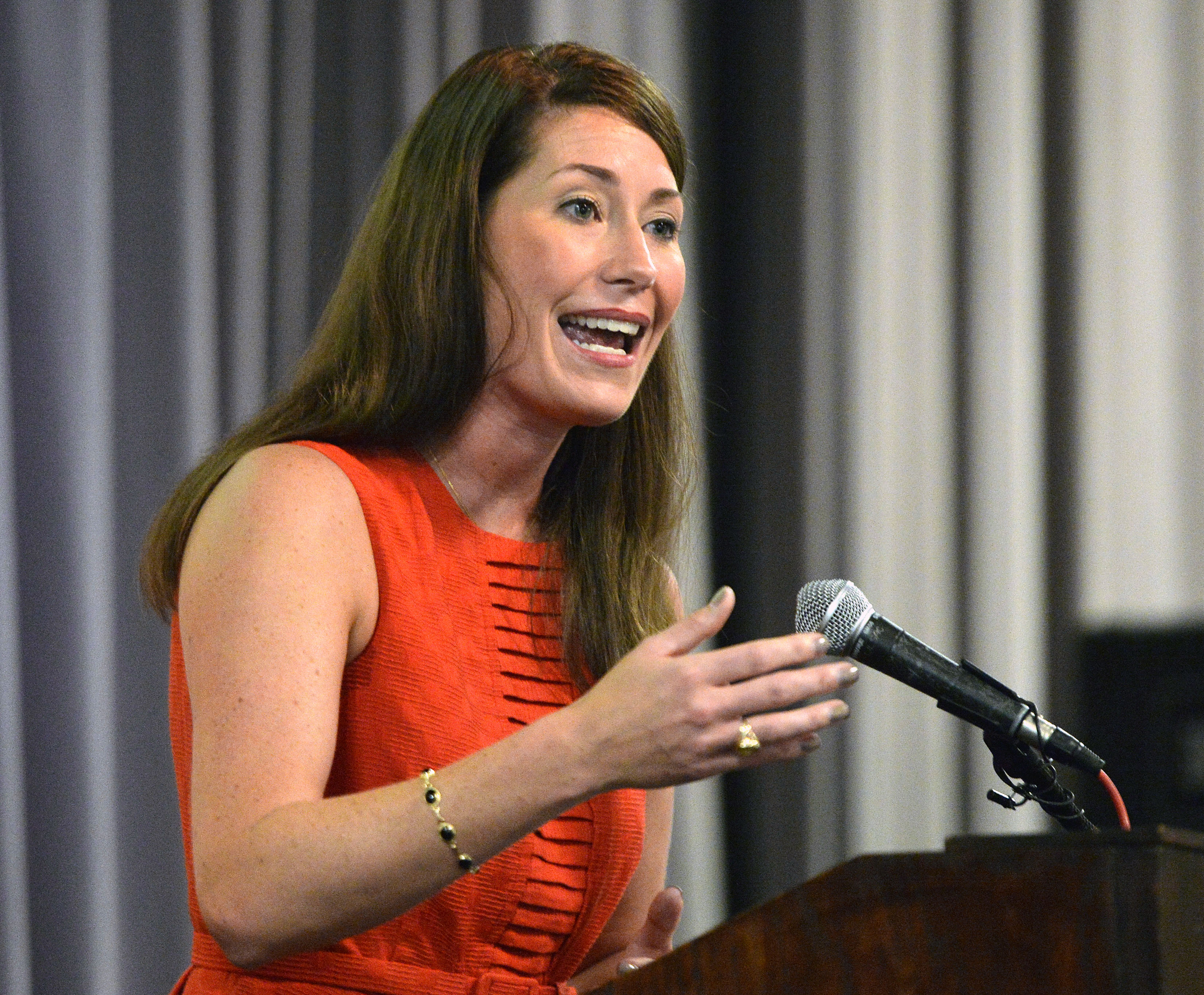 Grimes opposes 'gun show loophole'