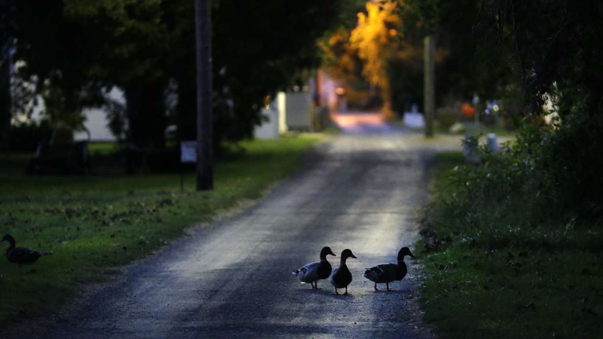 Who's a seaman? Supreme Court may chart the waters