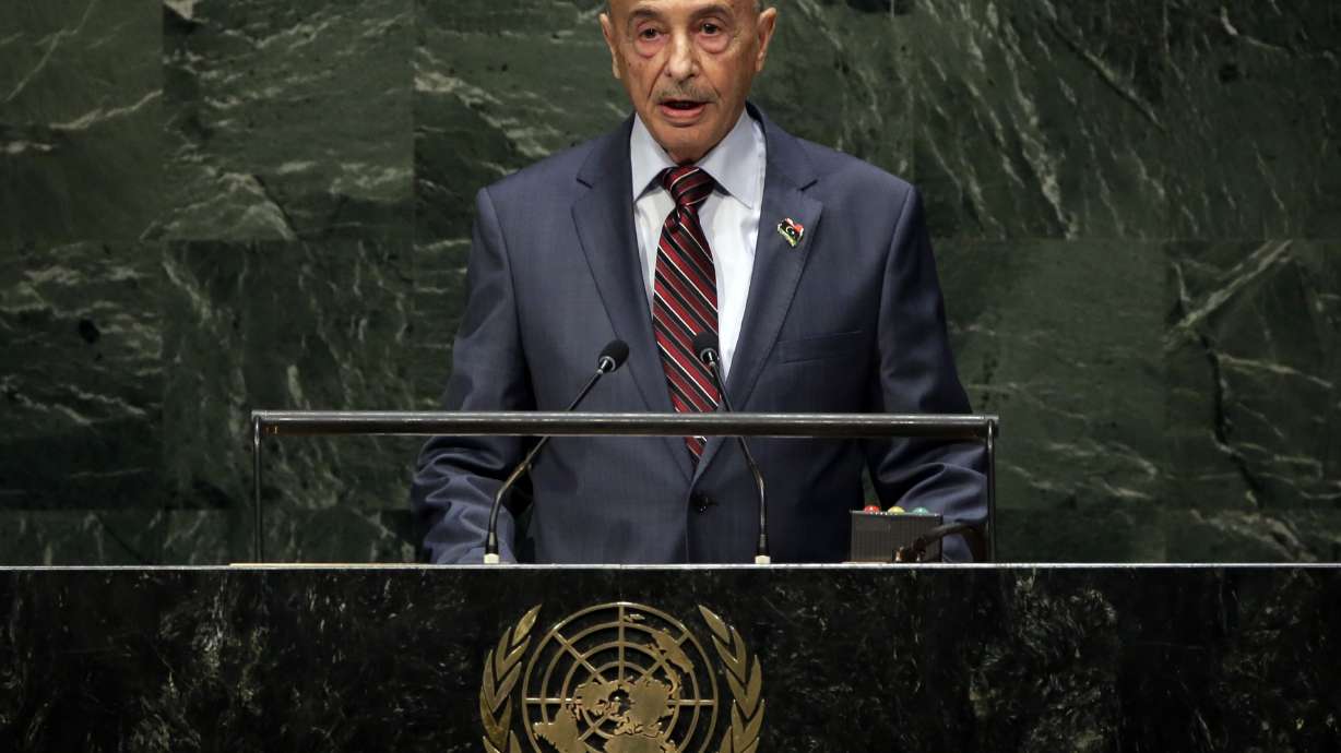 Libya pleads for help in battling terror groups