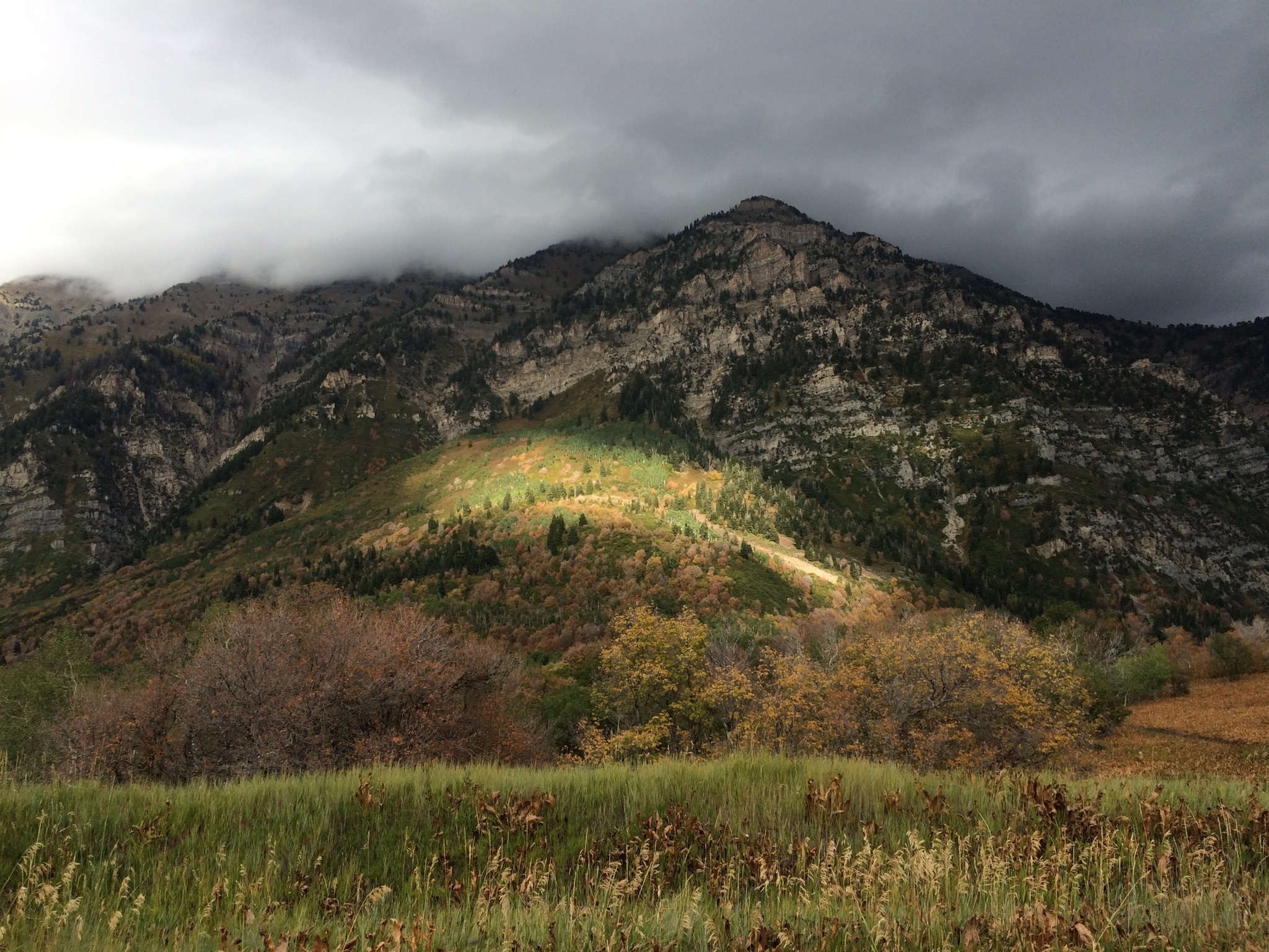 Cascade Mountain near Buffalo Peak in Utah County.
