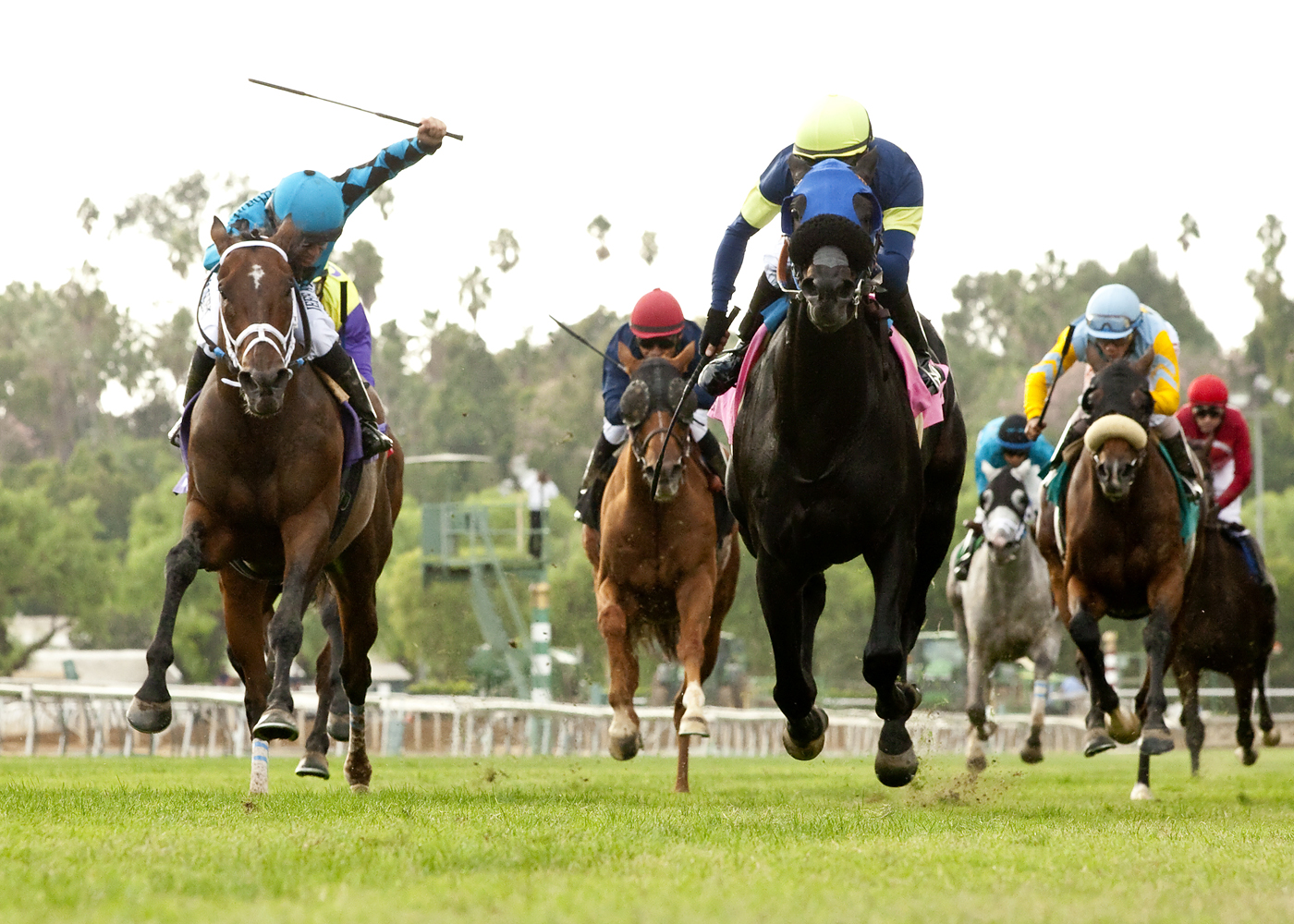 Bright Thought wins John Henry Turf at Santa Anita