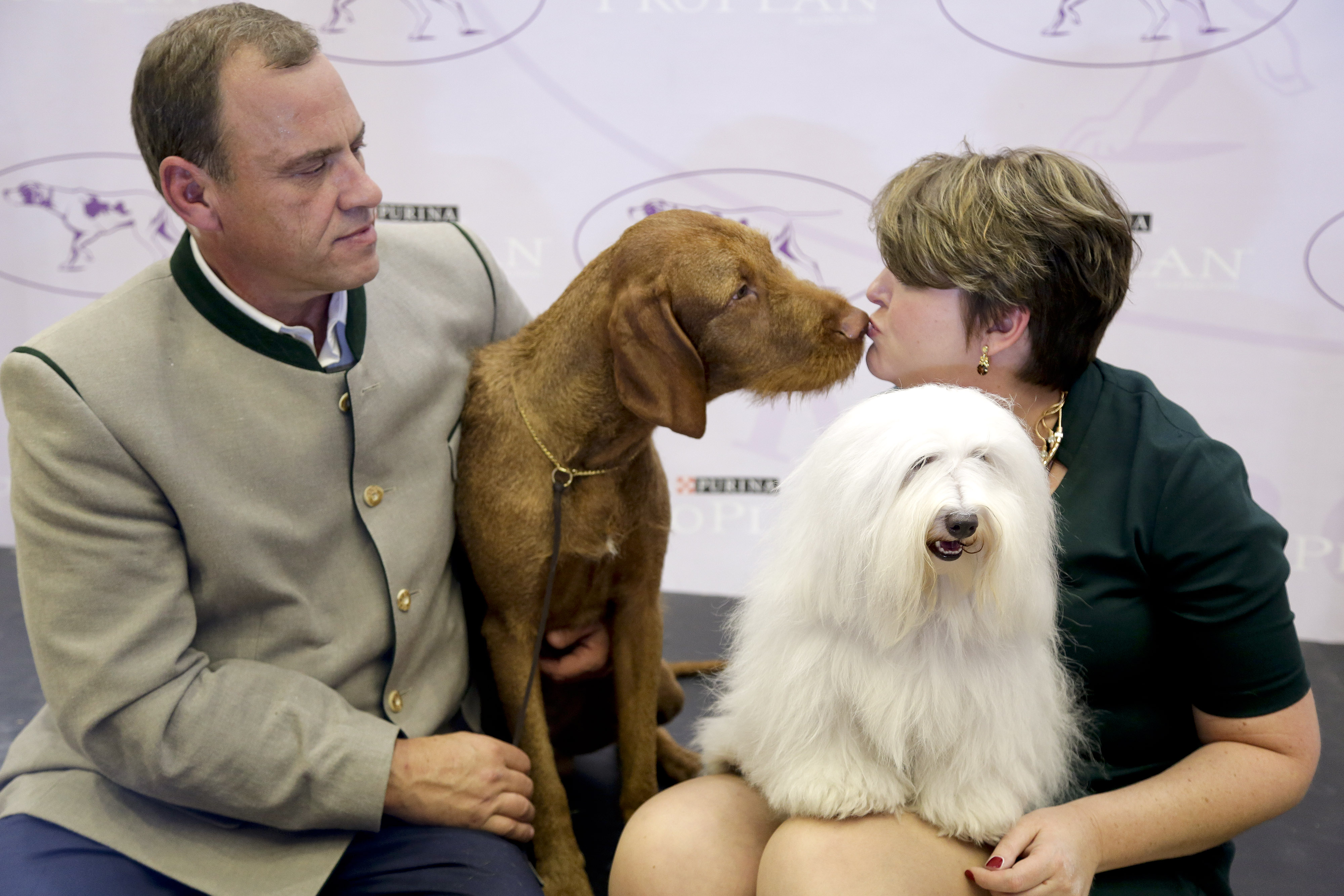 2015 Westminster pack to include 2 new breeds