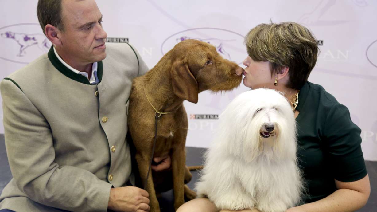 2015 Westminster pack to include 2 new breeds
