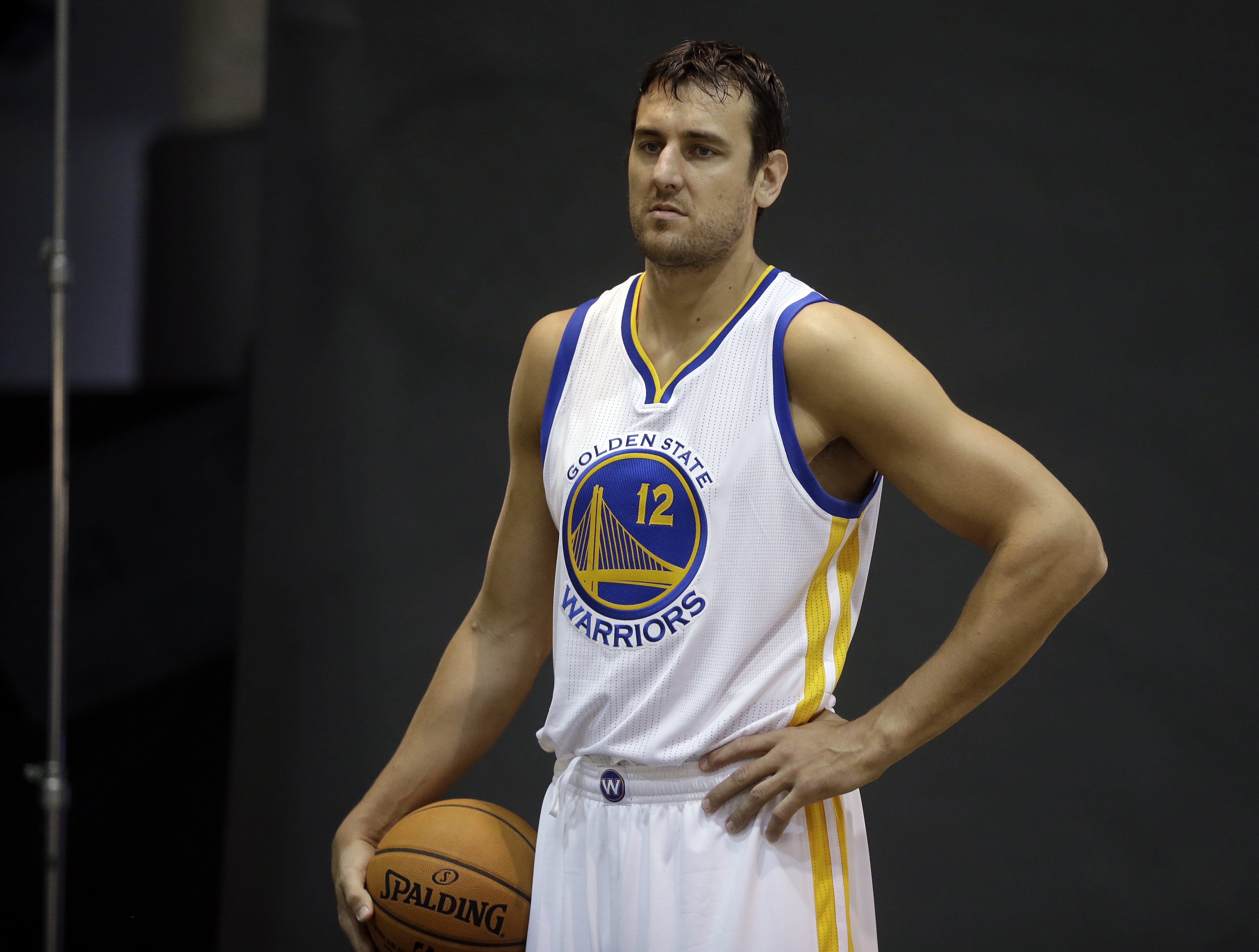 Warriors' Andrew Bogut hoping for a healthy season