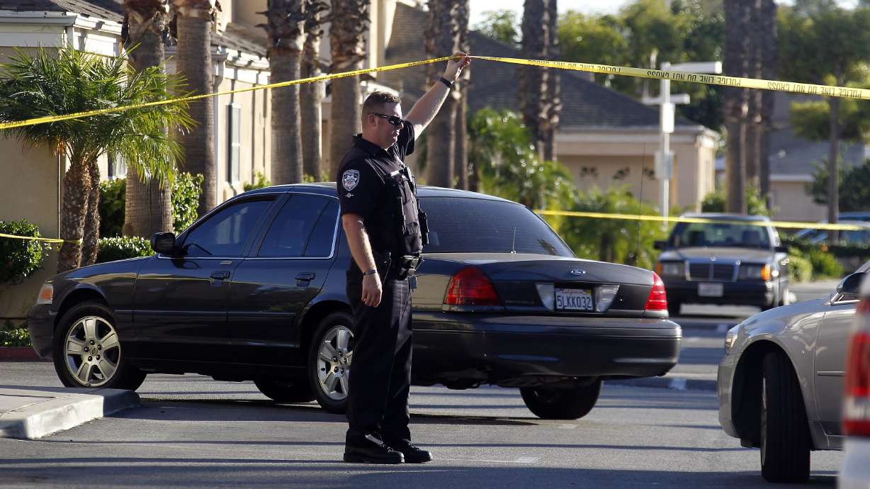 Lawyer: Wife of mayor was domestic violence victim