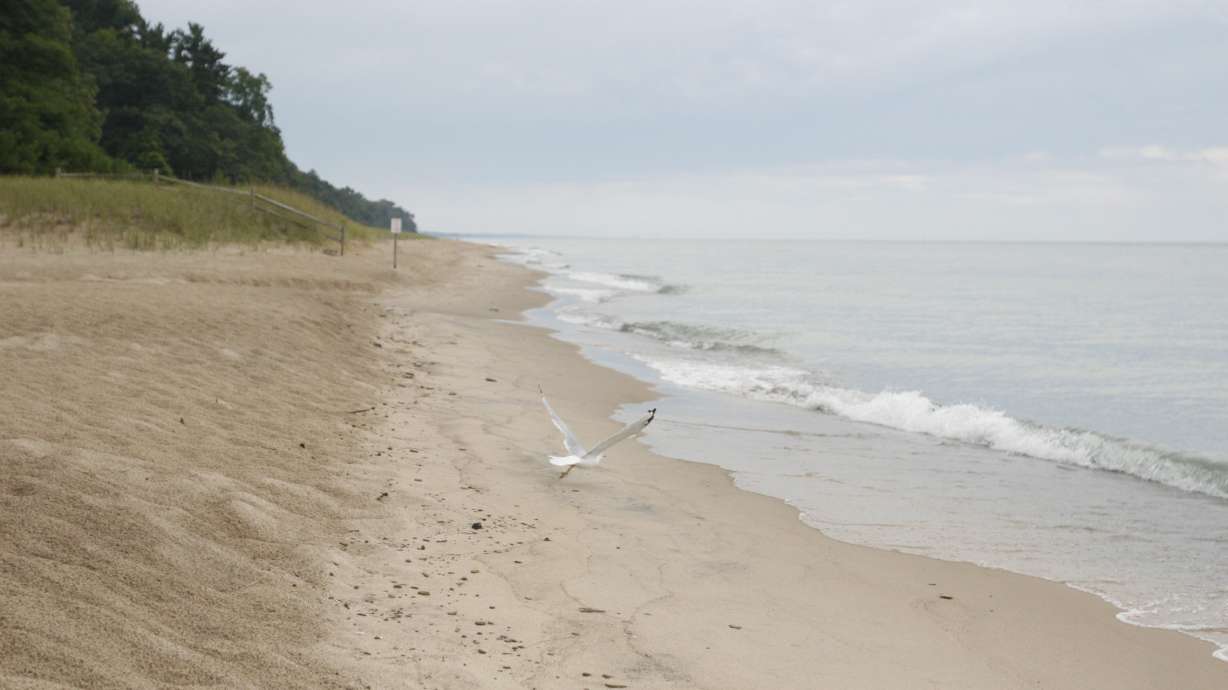 Losing Dad: A teen finds purpose in grief