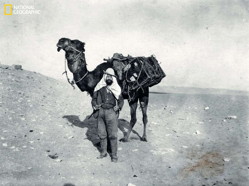 Ernst Stromer first discovered the spinosaurus.
